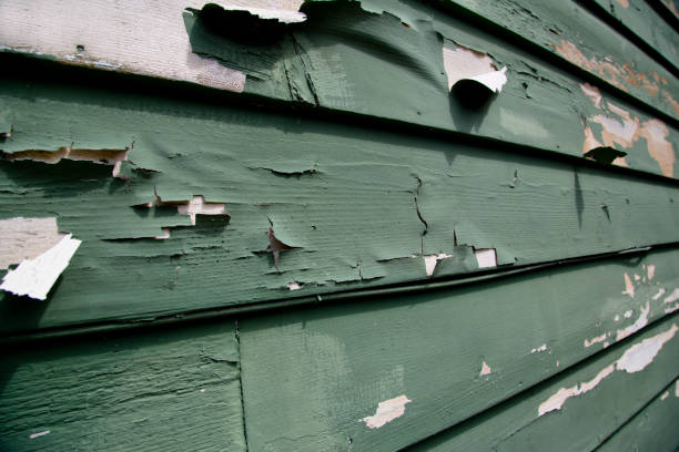 Best James Hardie Siding  in Belleville, WI