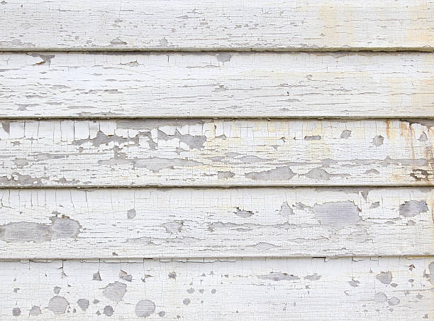 Storm Damage Siding Repair in Belleville, WI