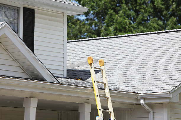 Affordable siding repair and maintenance services in Belleville, WI