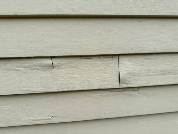 Best Siding for New Construction  in Belleville, WI